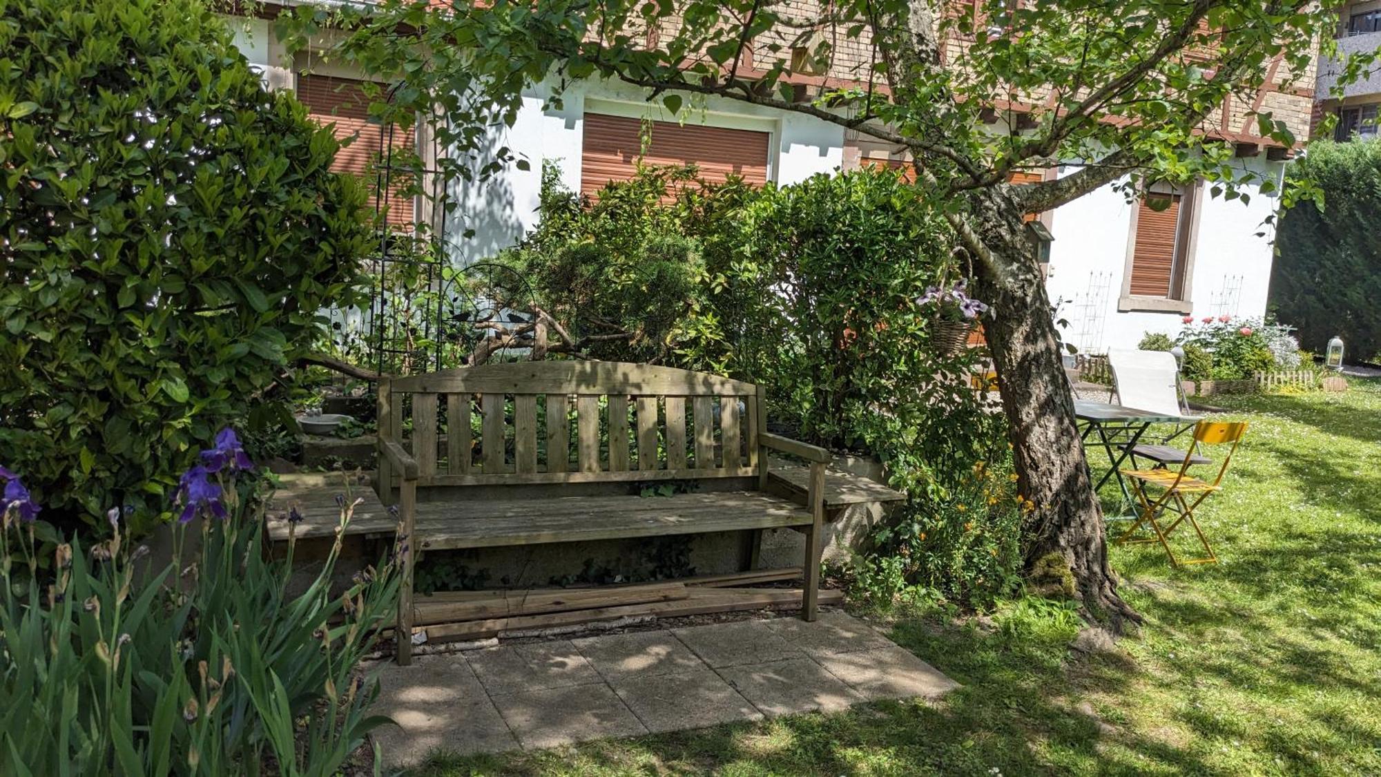 Le Petit Parc Apartment Colmar Exterior photo